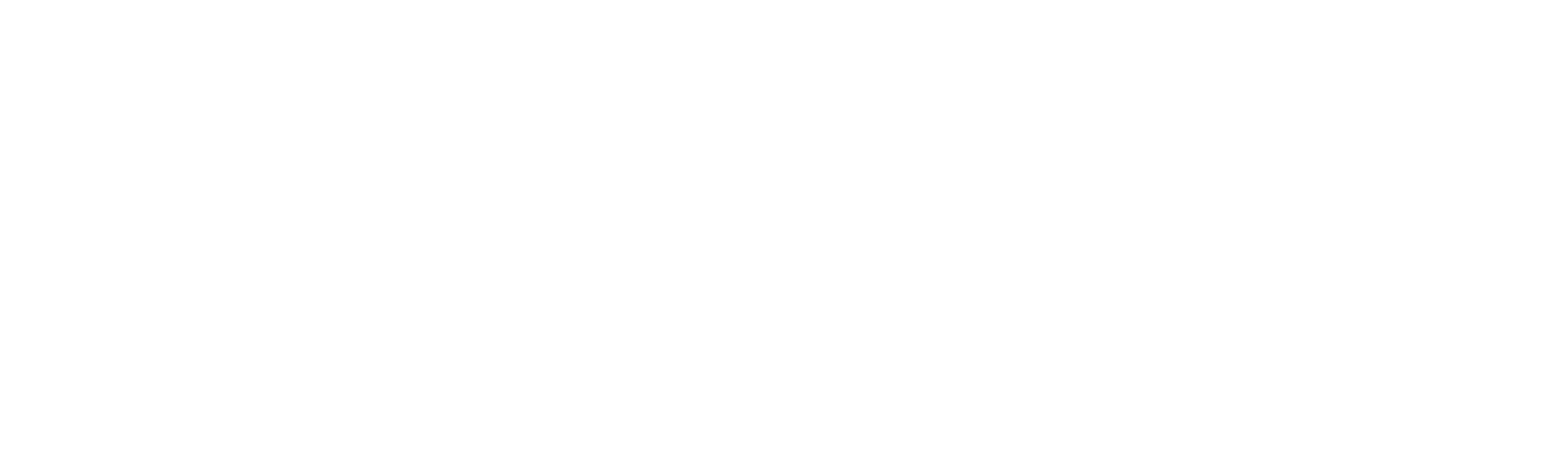 VML Consulting